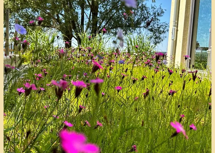 Seespitz Gaestehaus فندق 3*